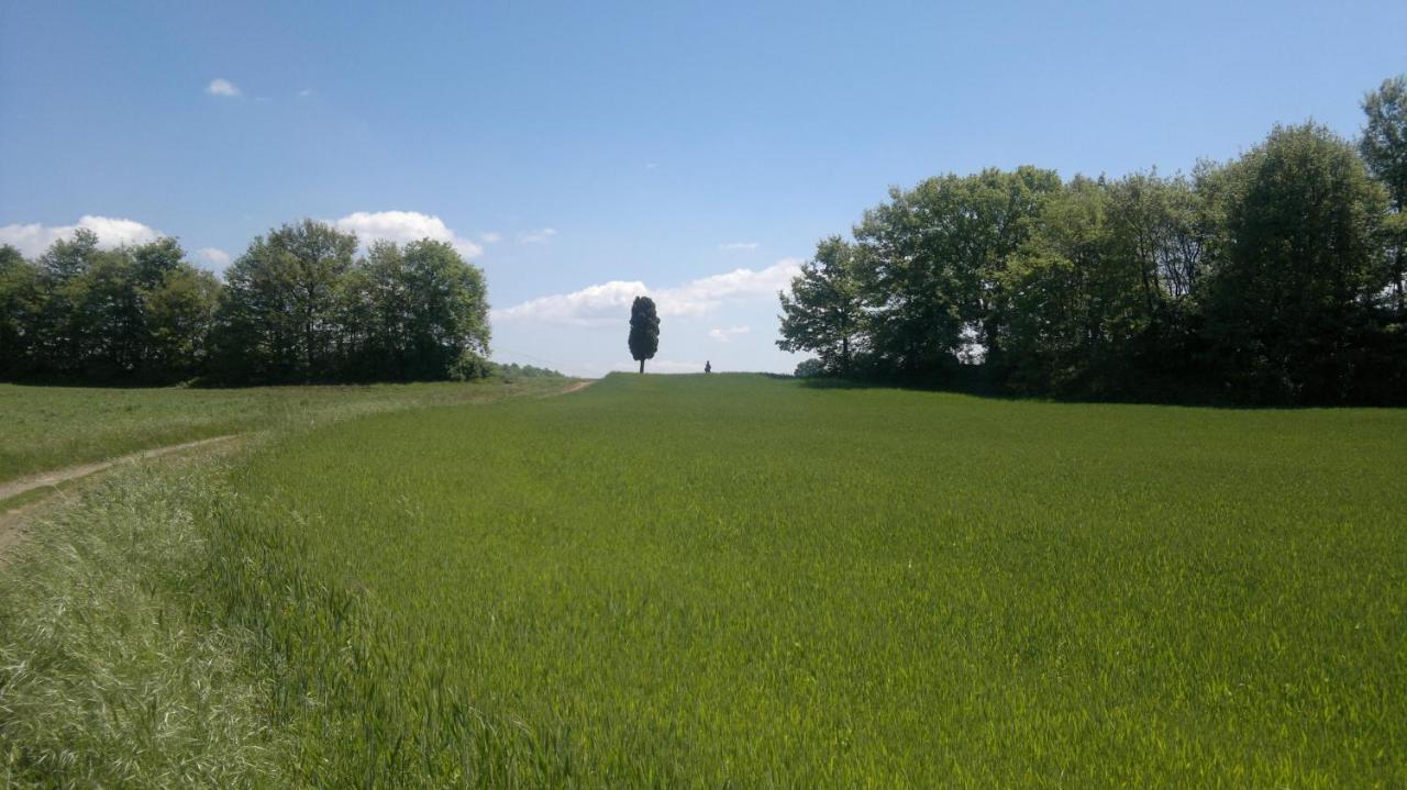 Appartamento Miralago Bolsena  Esterno foto