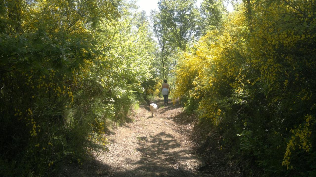 Appartamento Miralago Bolsena  Esterno foto